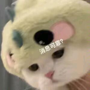 起飞呼呼