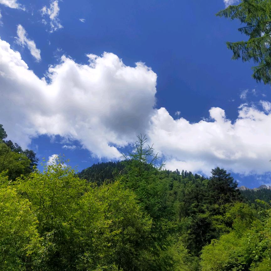 风轻云淡