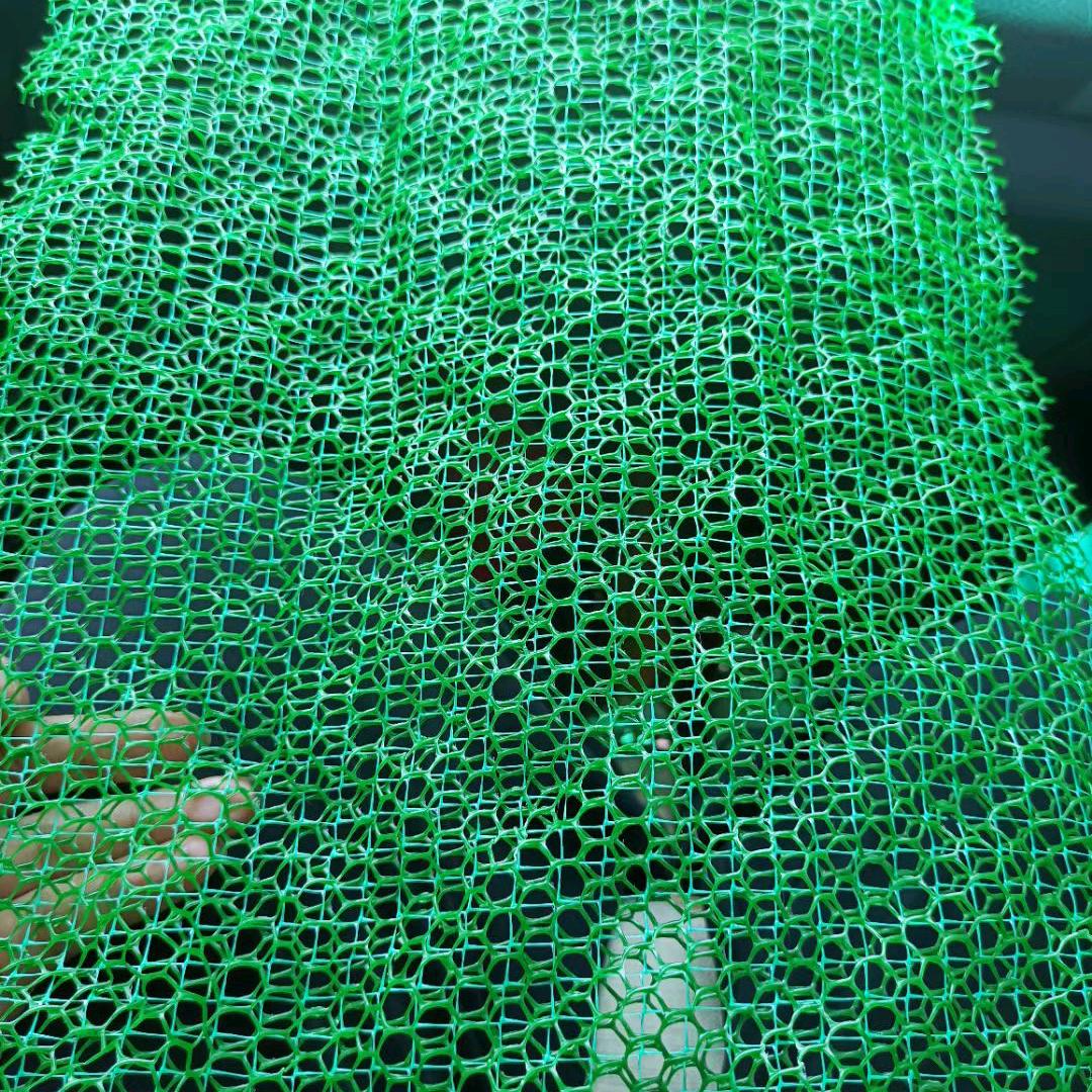 安平三维植被网厂（东永）