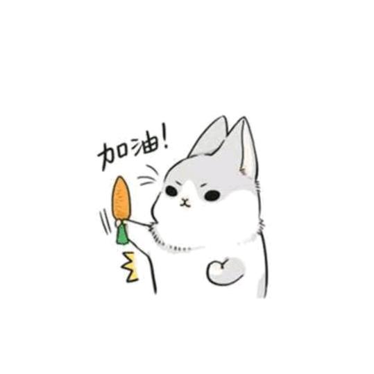 建芳猪肉