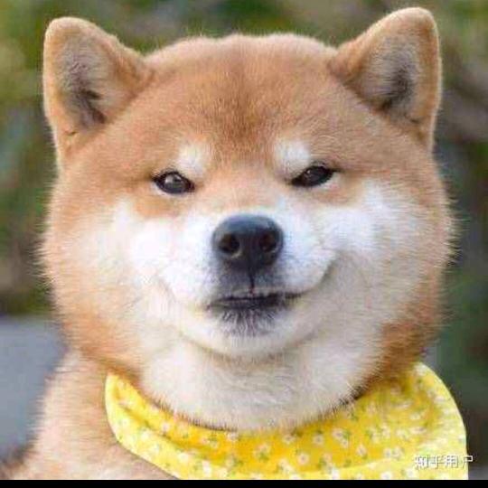 北港梧桐苑雅迪