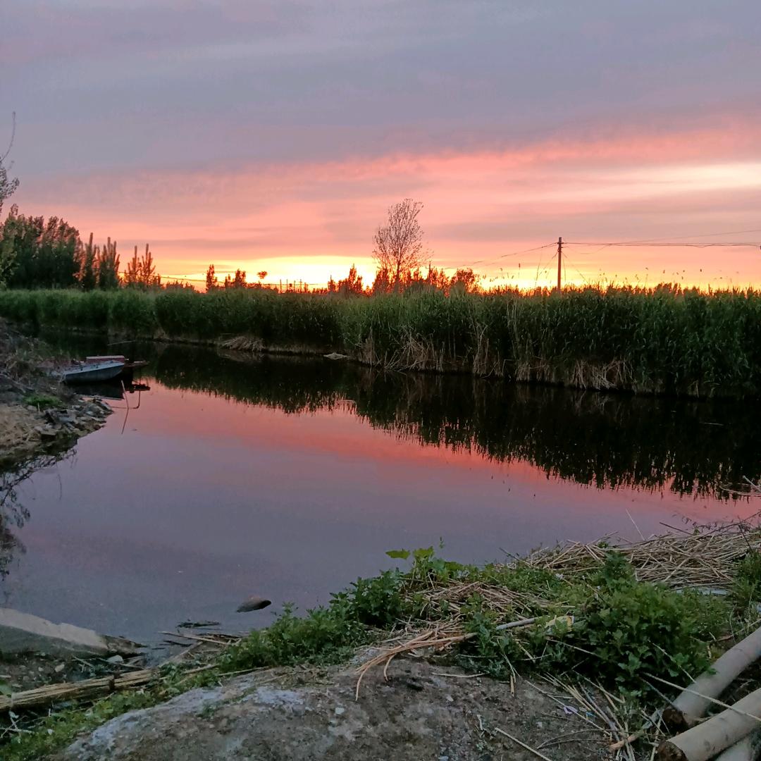 吉星高赵，赵财进宝