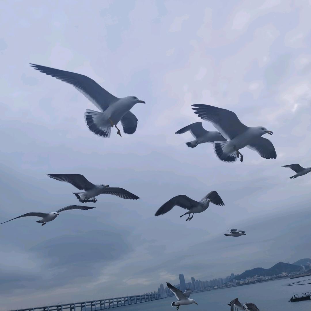 岁月无痕
