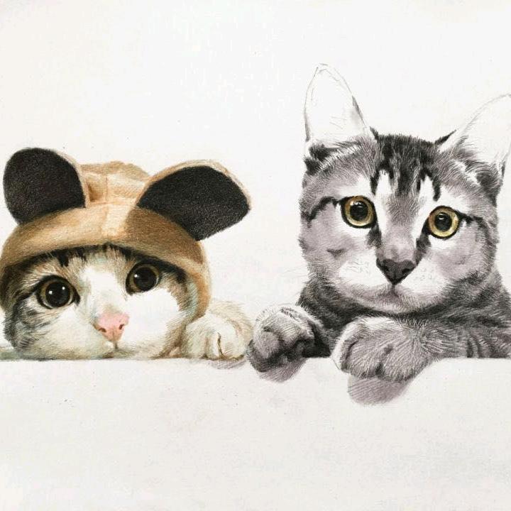 @死道友不死贫道@