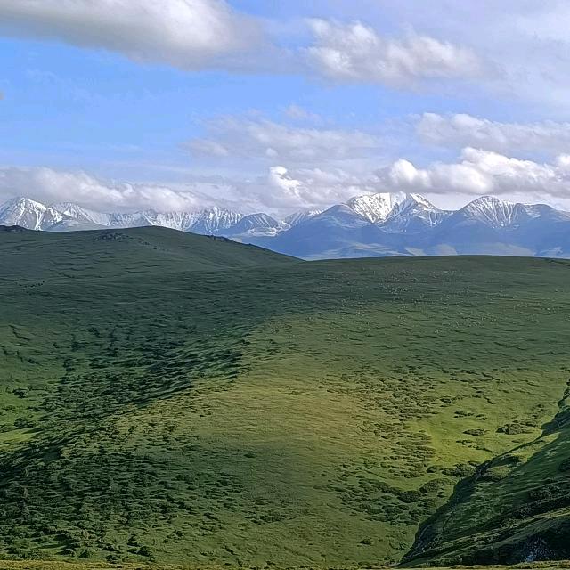 🌈小猪爸爸🍀2113