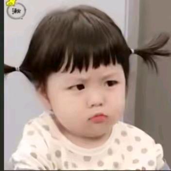 ● (M￢ʕº̫͡ºʔ ￢)