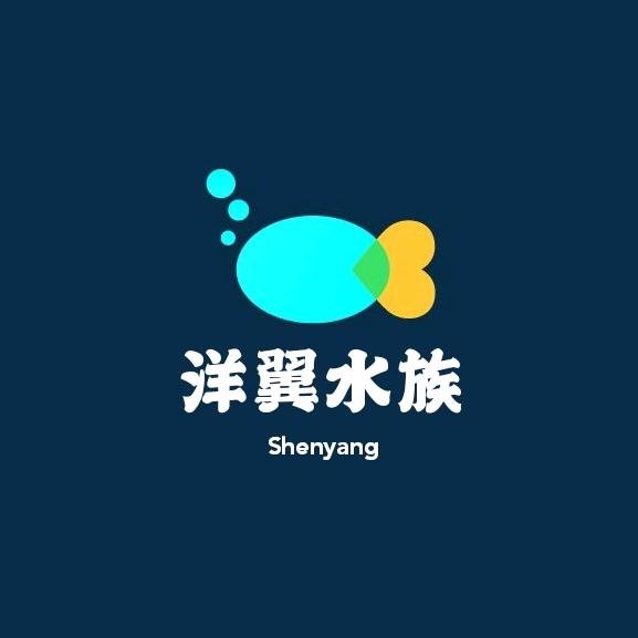 沈阳阿杰