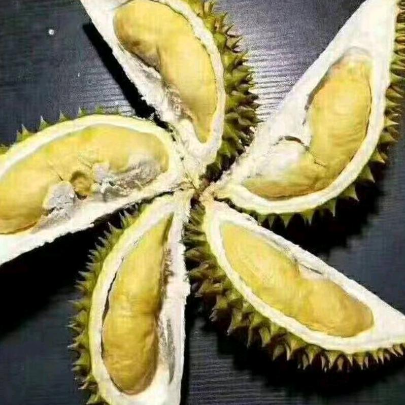 罗江燕－方德鲜货烧烤（收徒）