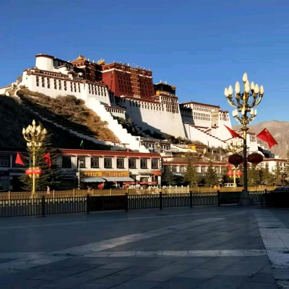 羊木木