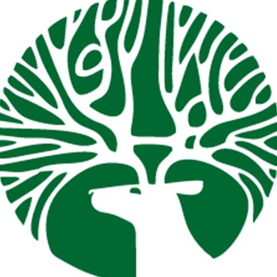 唐小路丝绸布艺 设计师布料店