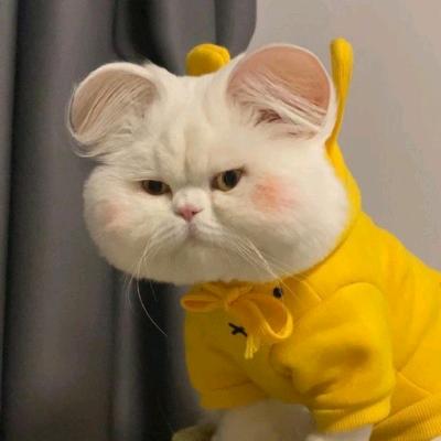 明天