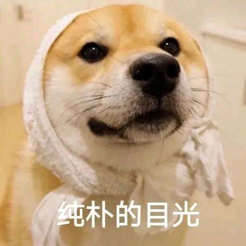 墨城王先生