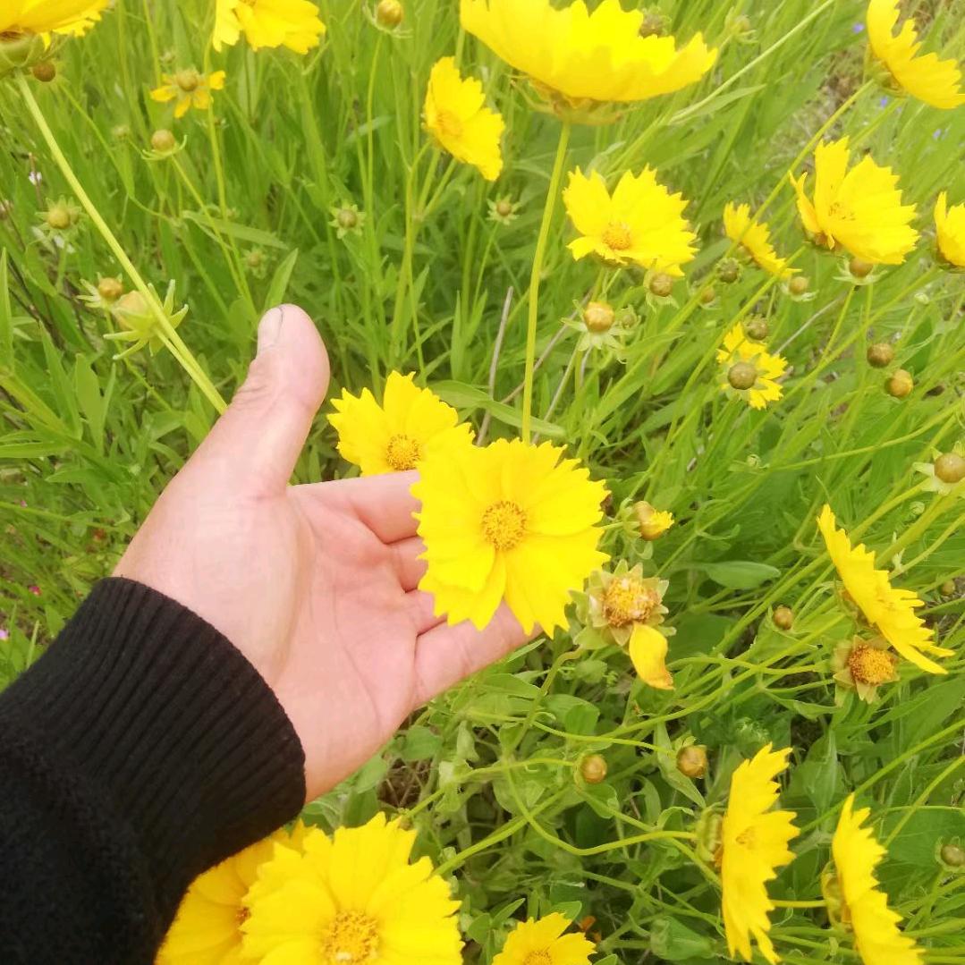 梦中想唯一