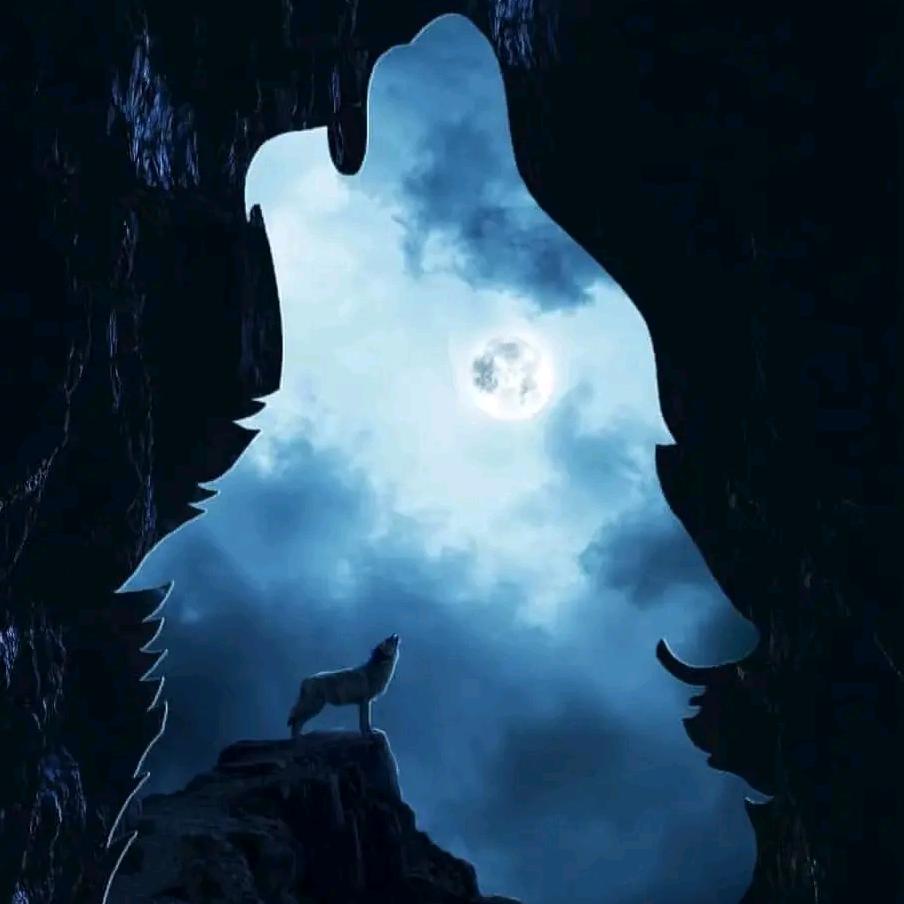 🚶断肠💔狼君🚬