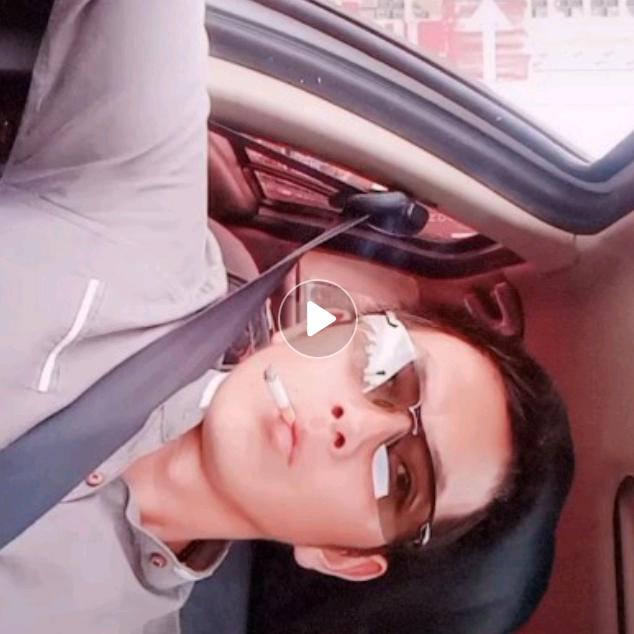 本人小董你董不董