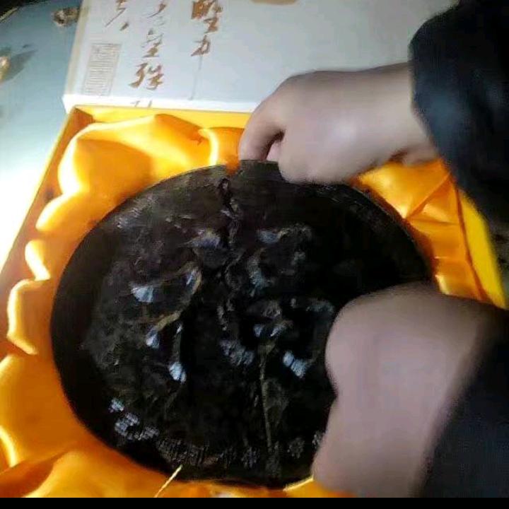 文杰