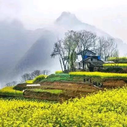 南泥湾