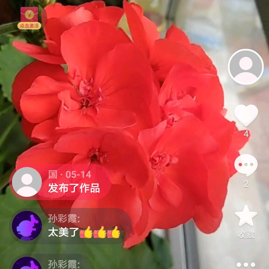 桐桐桐桐…头像