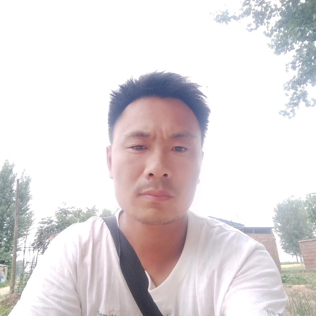 王伟强收购小麦玉米红白喜事一条龙，棺材，
