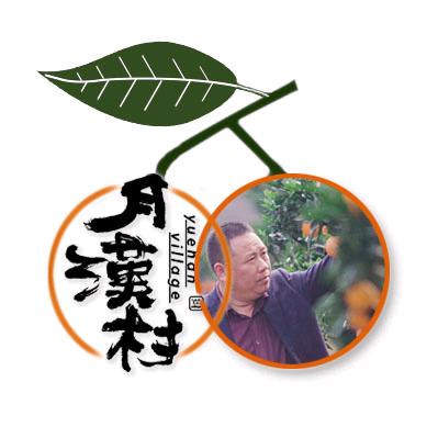 龙丰果业