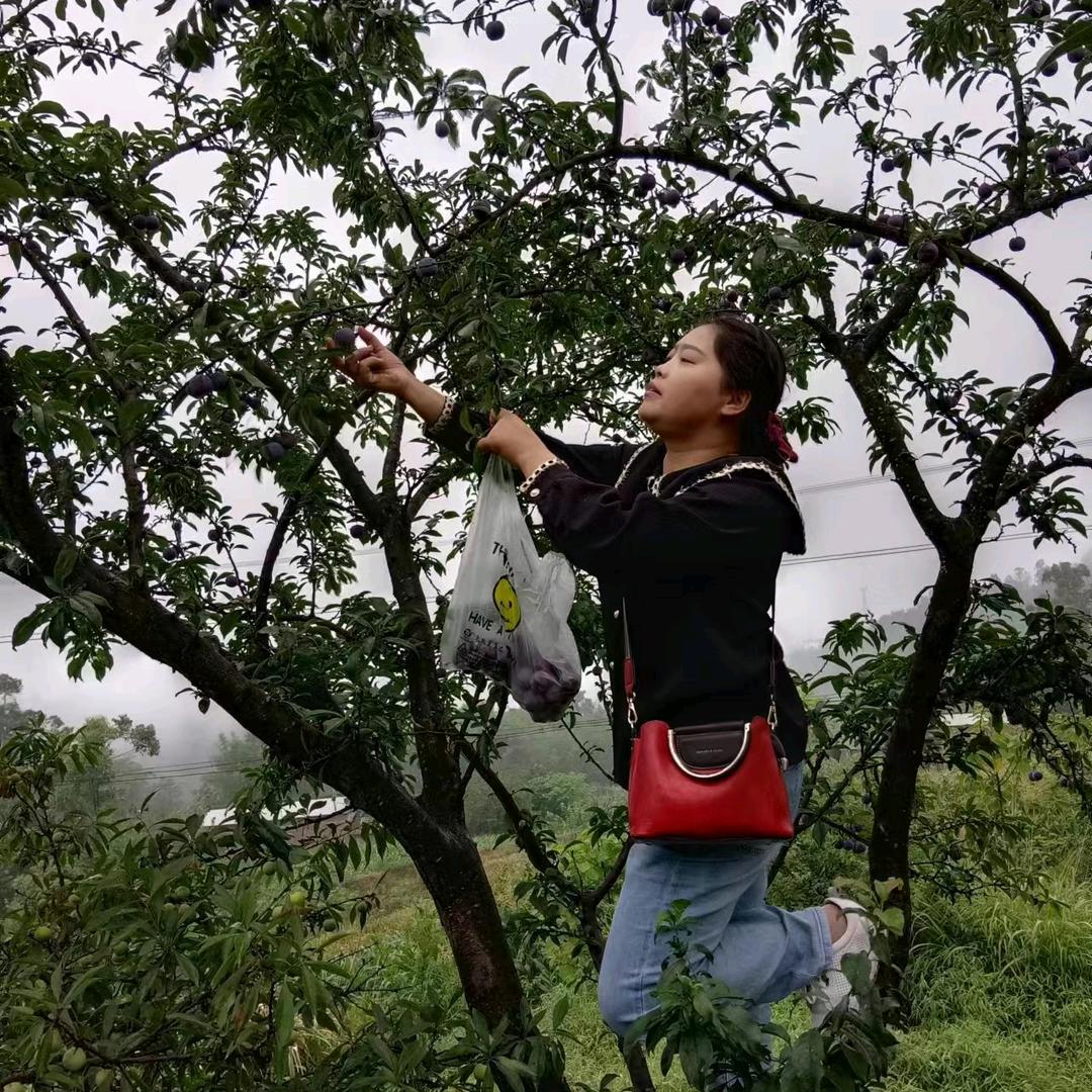 陈芳
