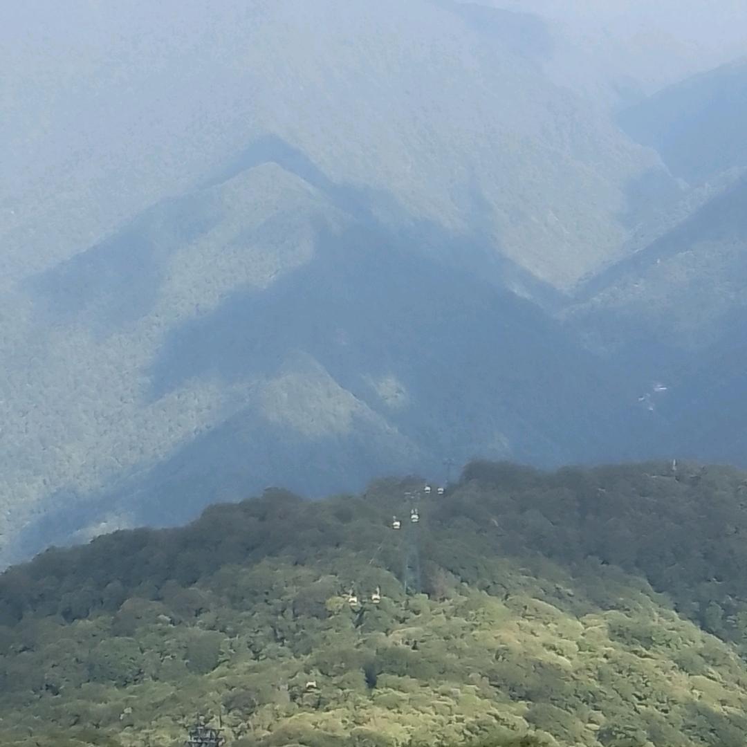 只是