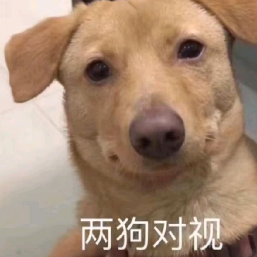 阳阳