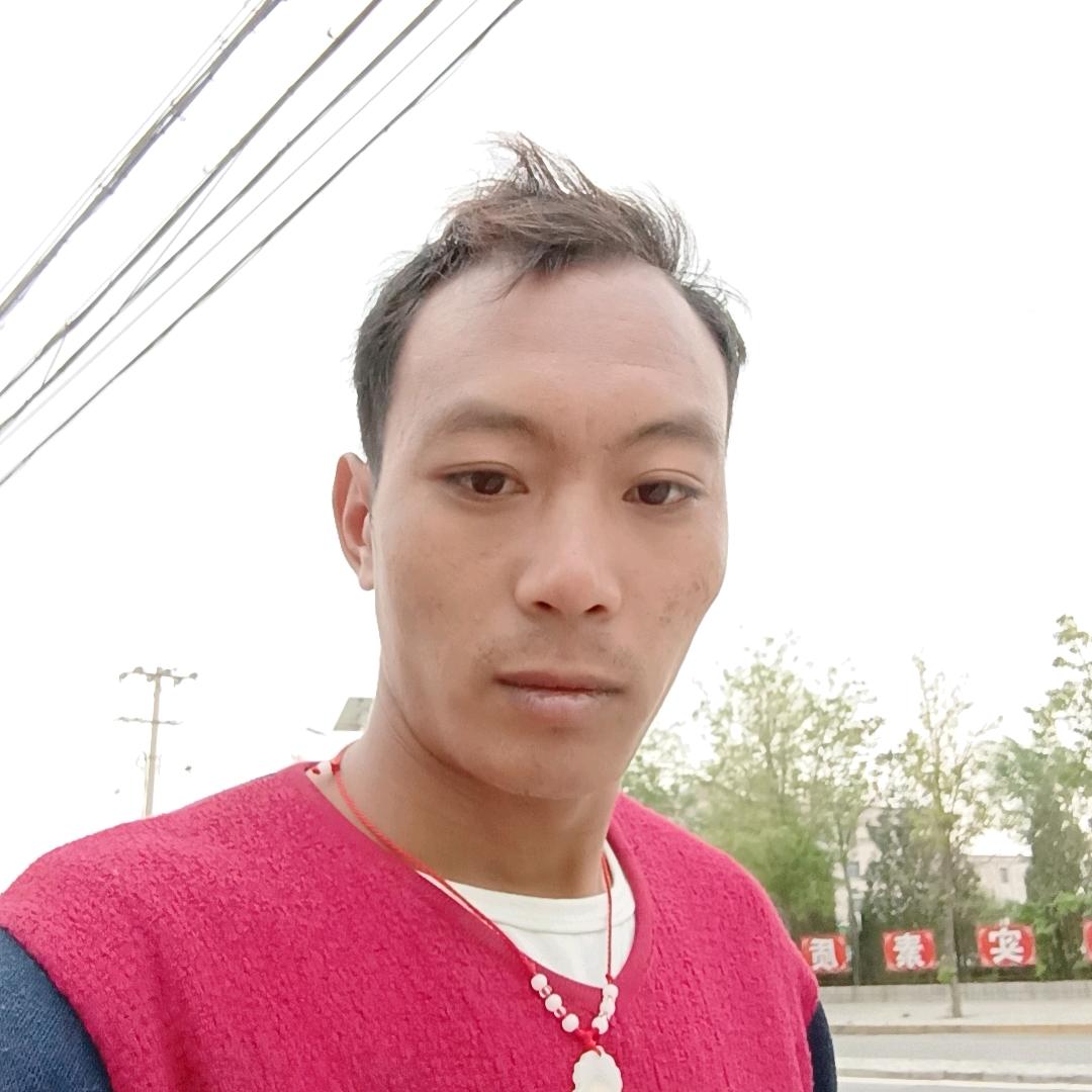 小杨