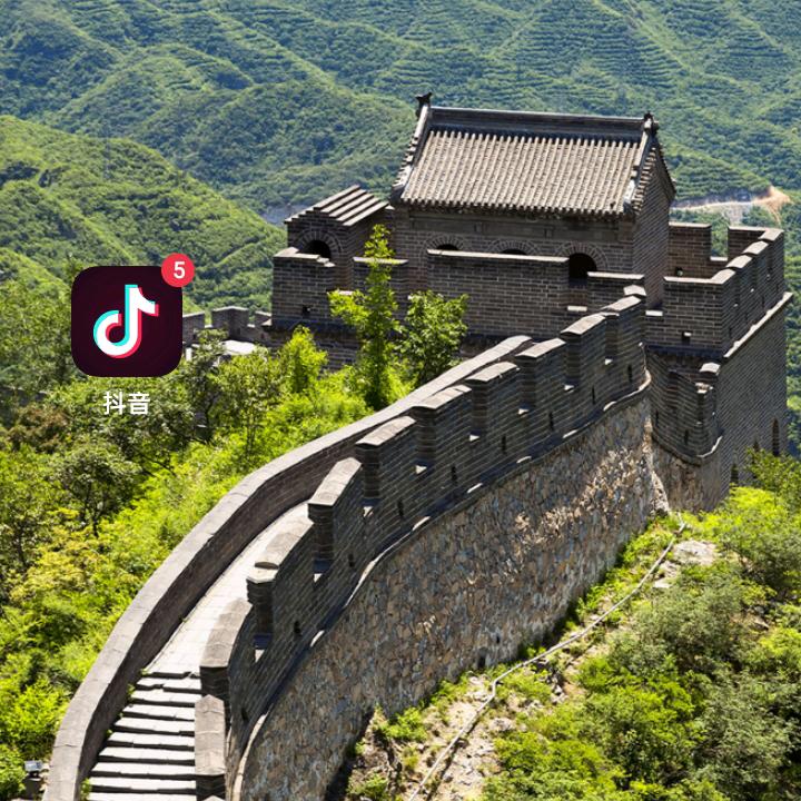 心木狂舞。