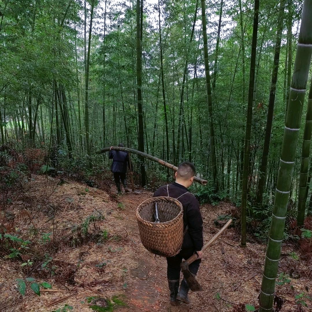 农家土特产（竹燕窝更专业）