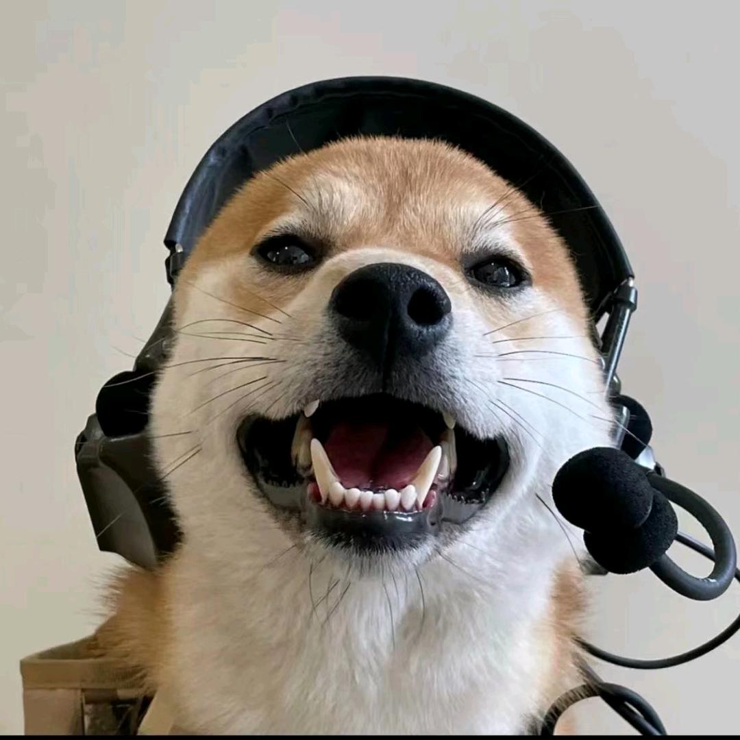 兜兜儿有糖🍬.