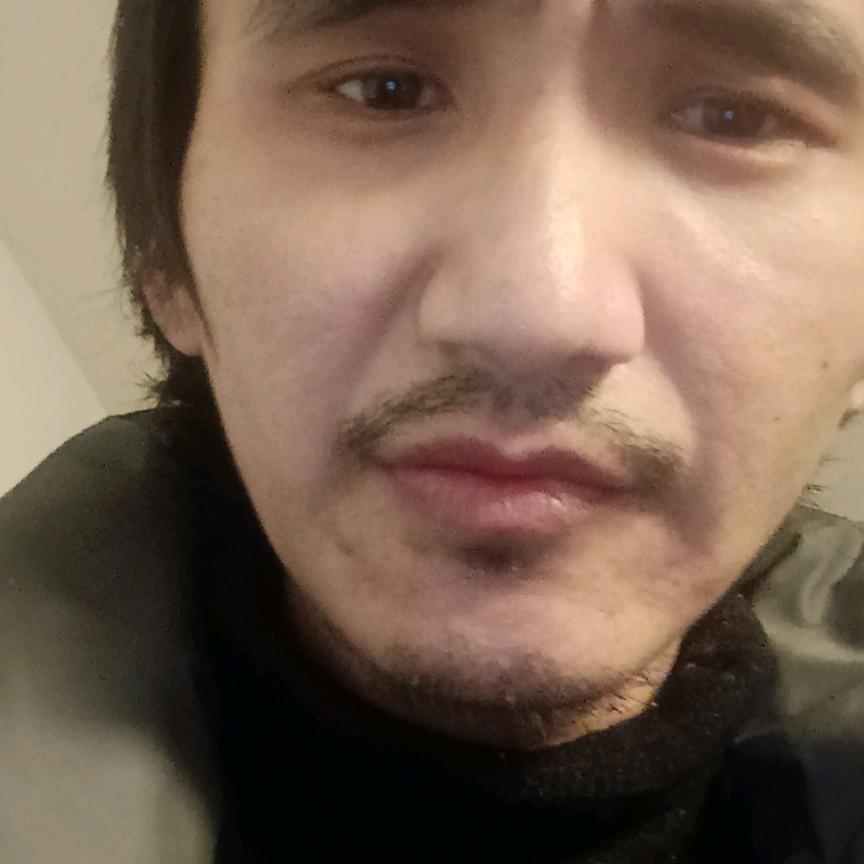 阿狸猫