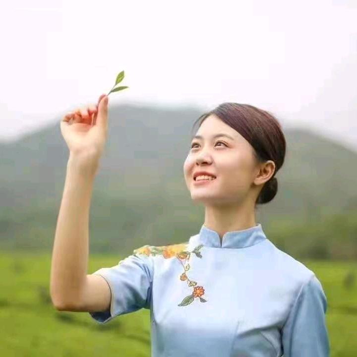 八马茶业 水果湖一中店