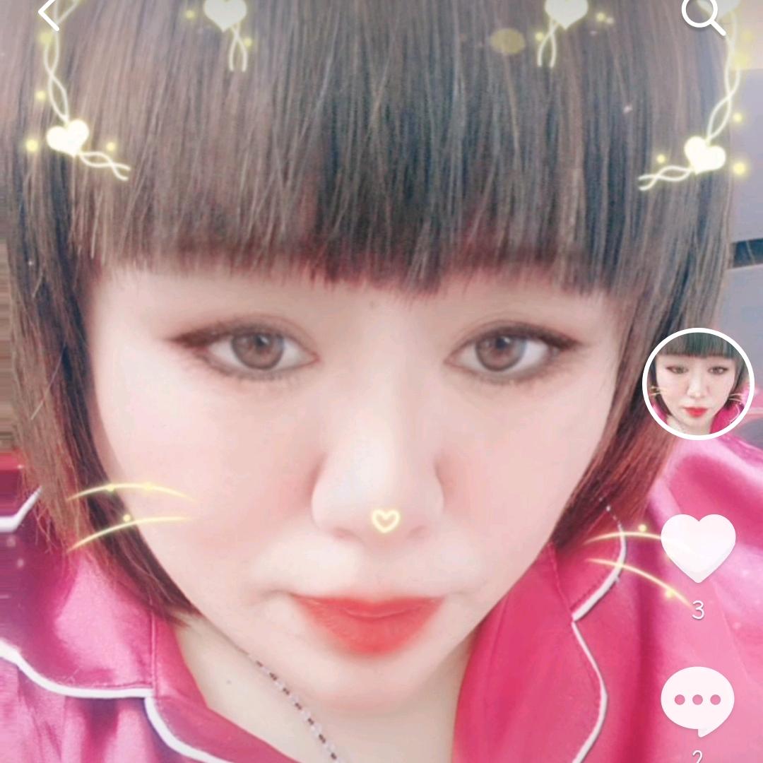 白玫瑰
