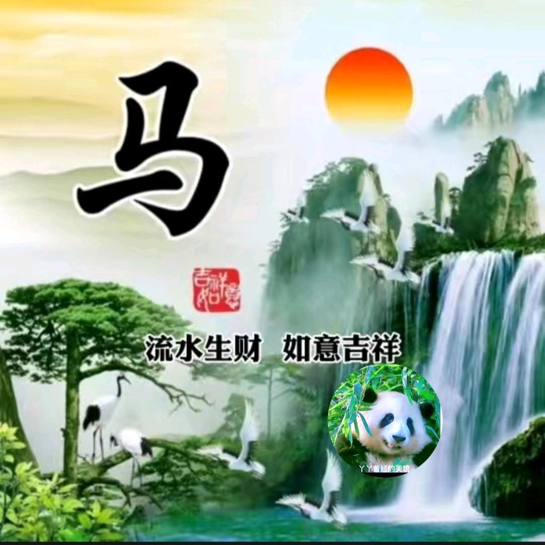 阿里丫丫（艺桦）