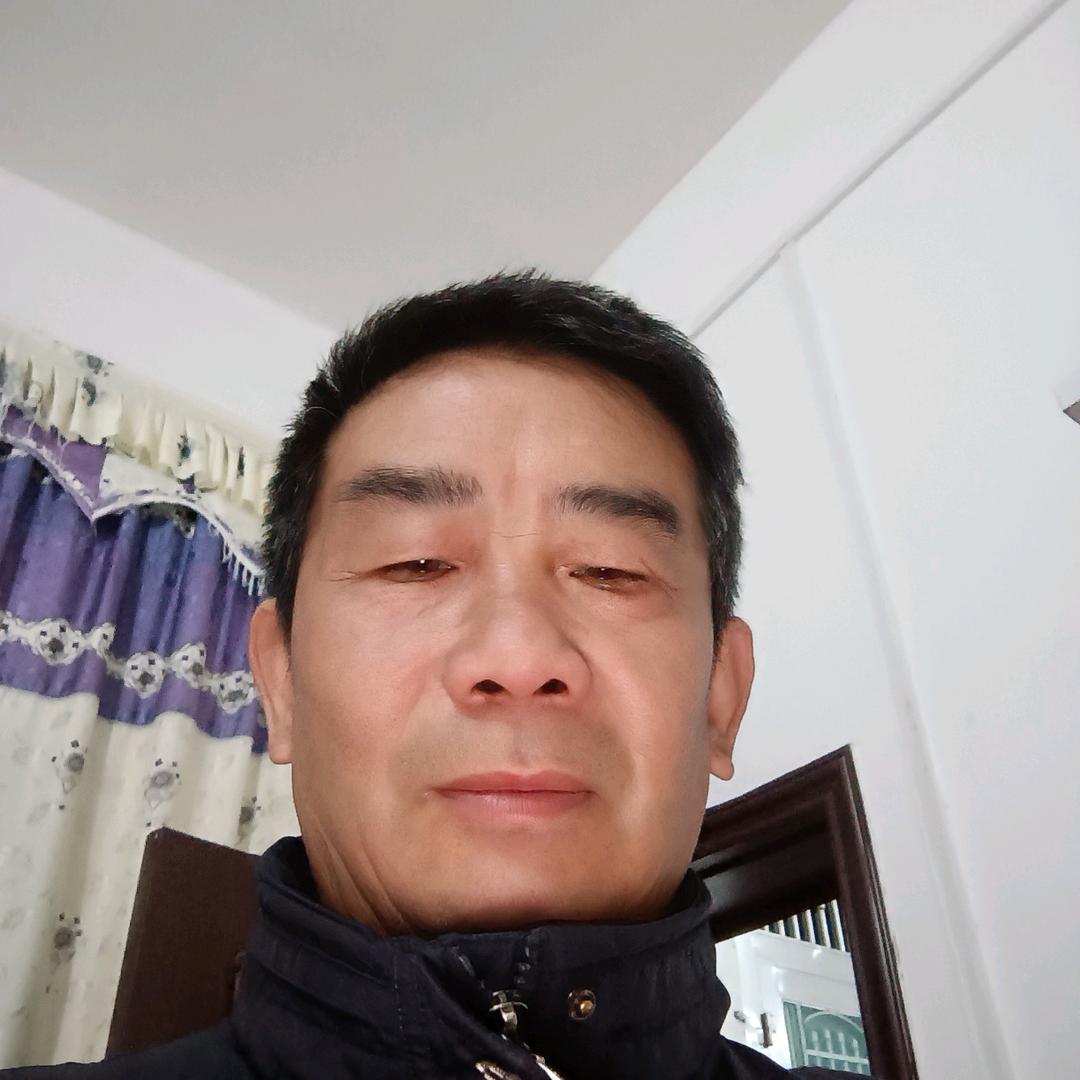 向日葵