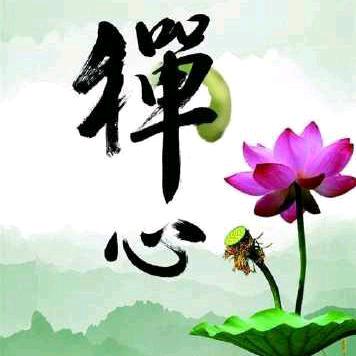 @静心禅语