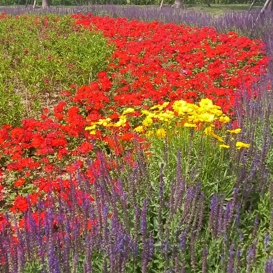 越努力越幸福！