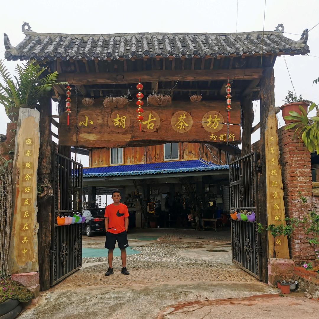 秘境高杆古树有限公司。