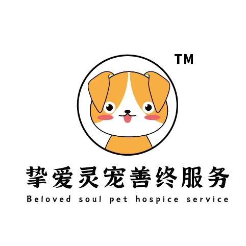 徐州挚爱灵宠