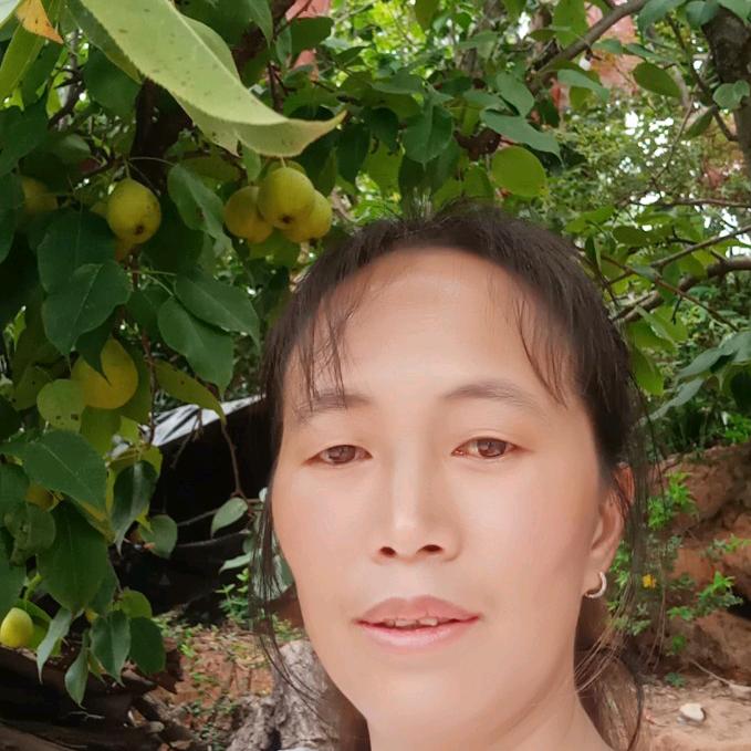 我的爱停留2024.7月25。心累