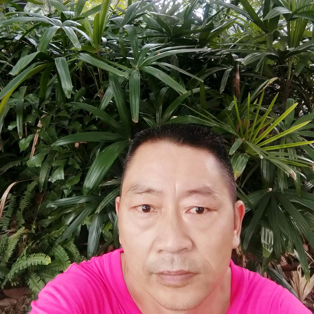 户外老杨