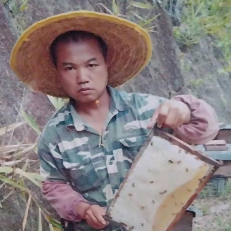 中蜂养殖人