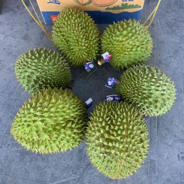 秋鱼…