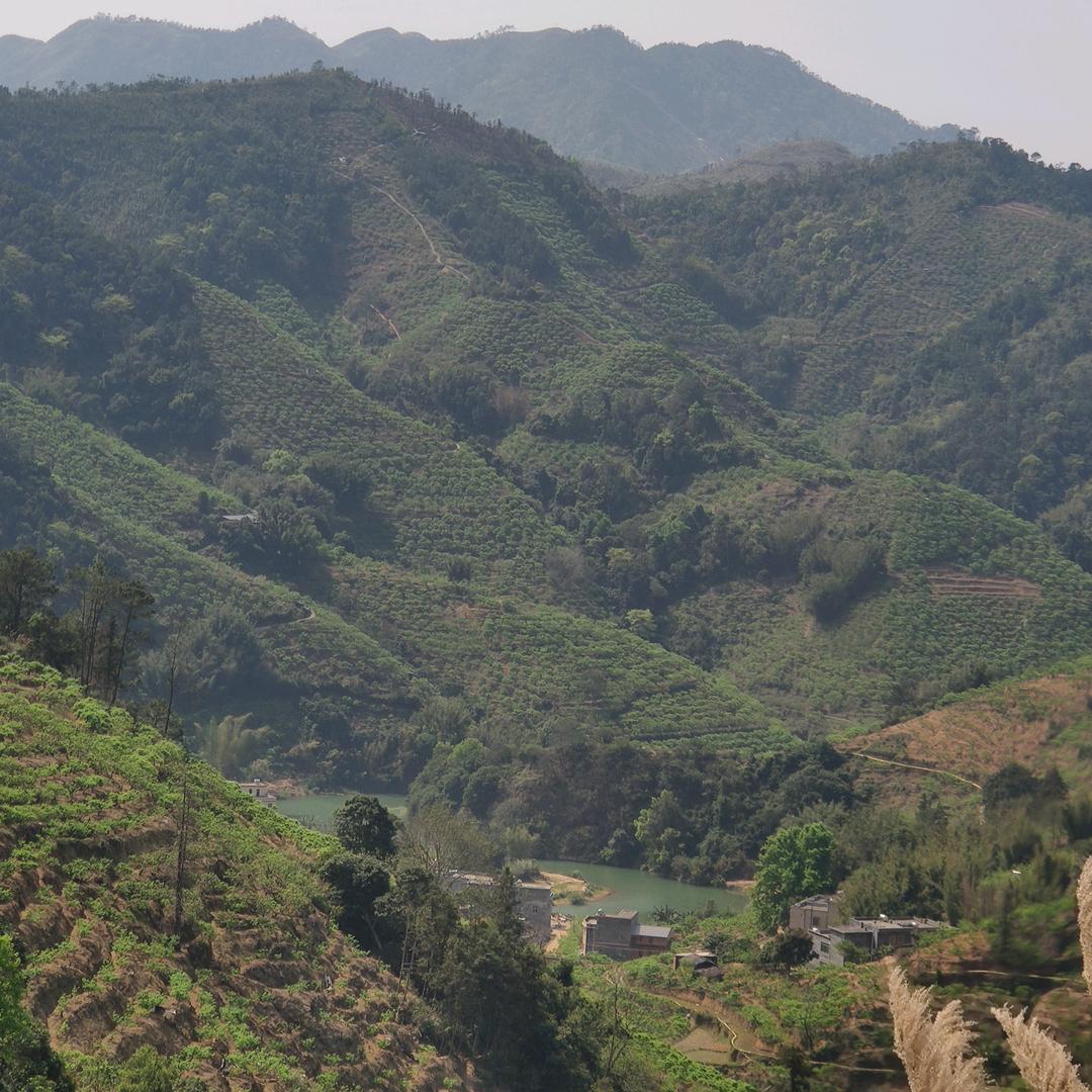 锦绣华城
