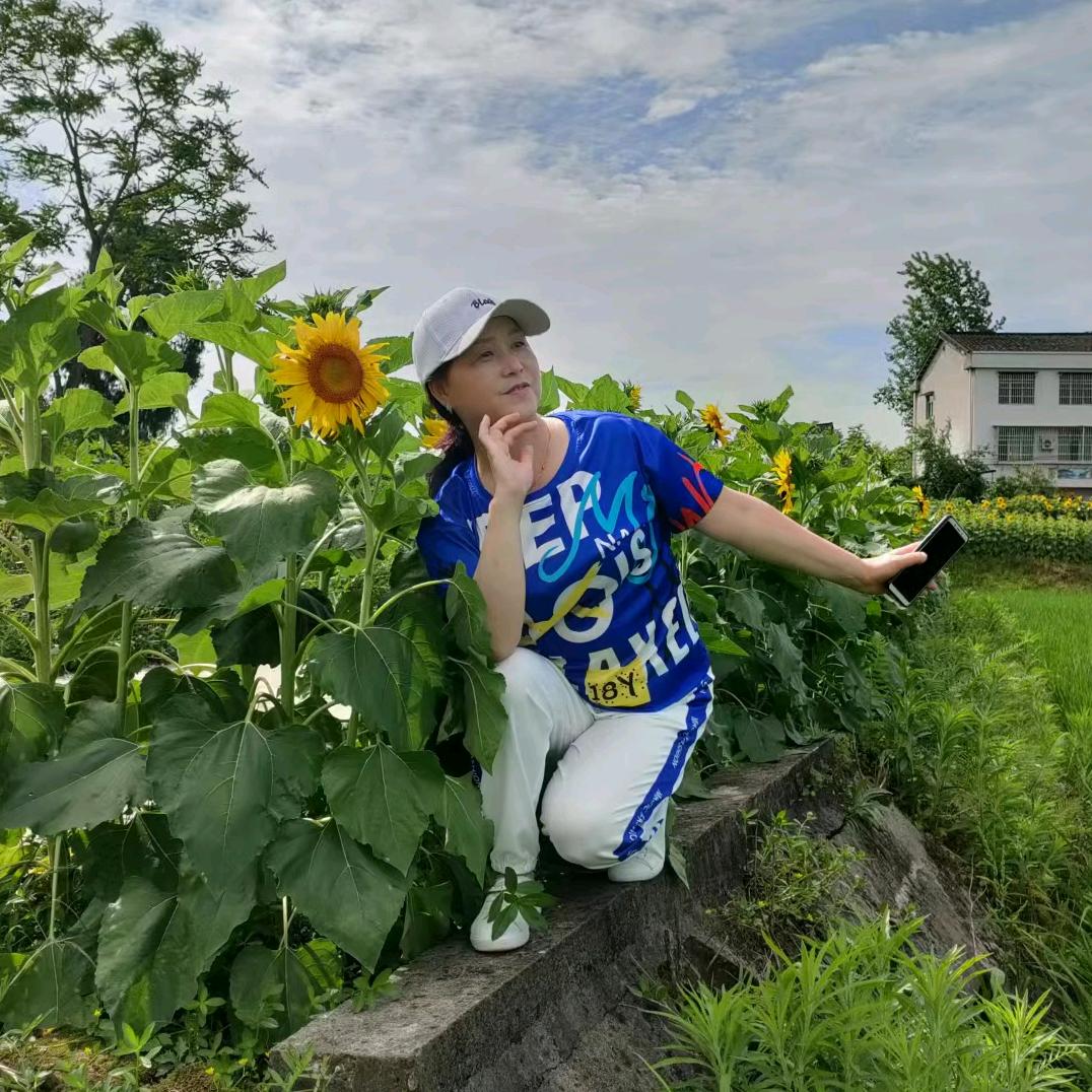 淡定从容
