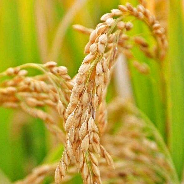 这个天气有点怪😝