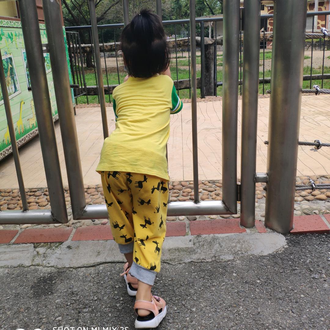 ╭(╯清风徐来╰)╮