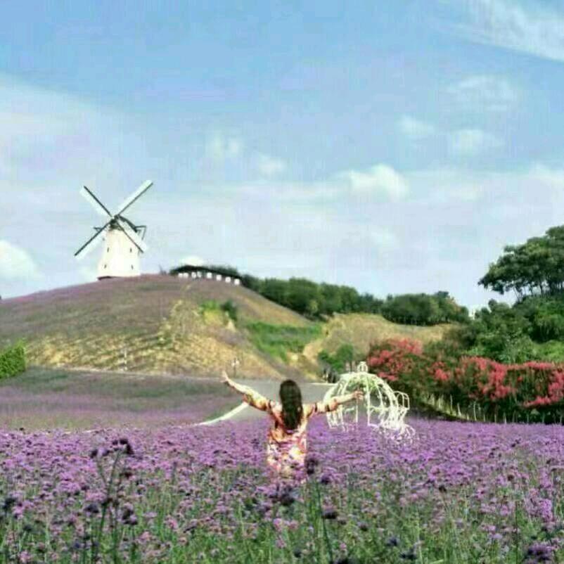 丽丽妍