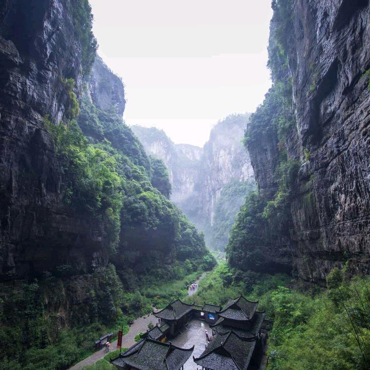 Zang老师学习课堂